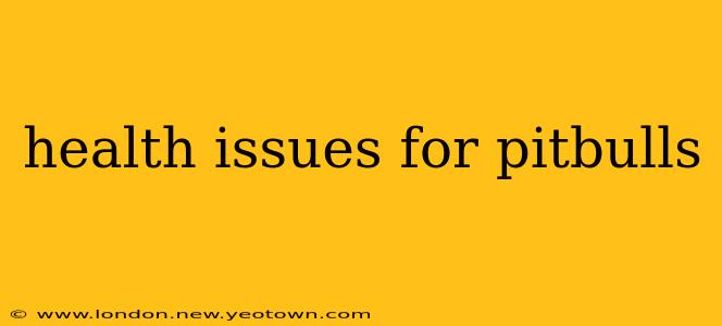 health issues for pitbulls