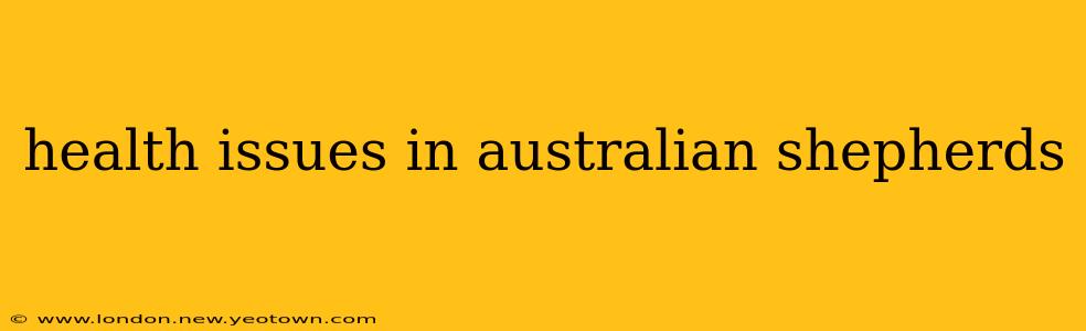 health issues in australian shepherds
