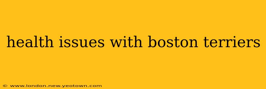 health issues with boston terriers