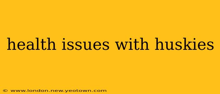 health issues with huskies