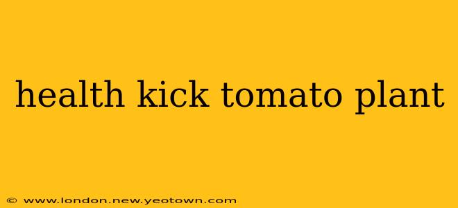 health kick tomato plant