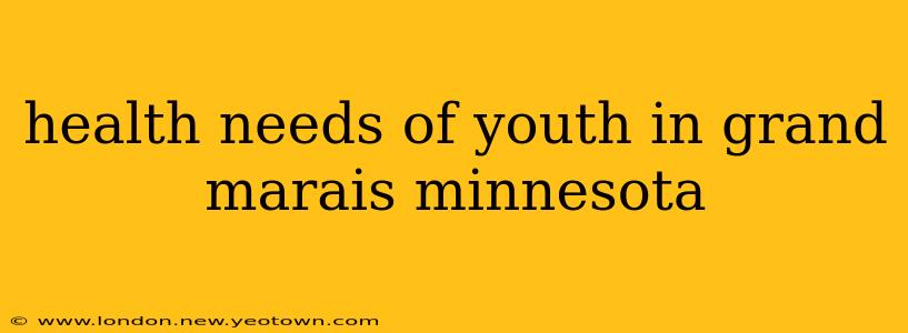 health needs of youth in grand marais minnesota
