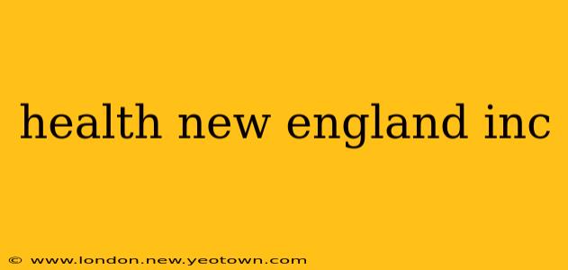 health new england inc