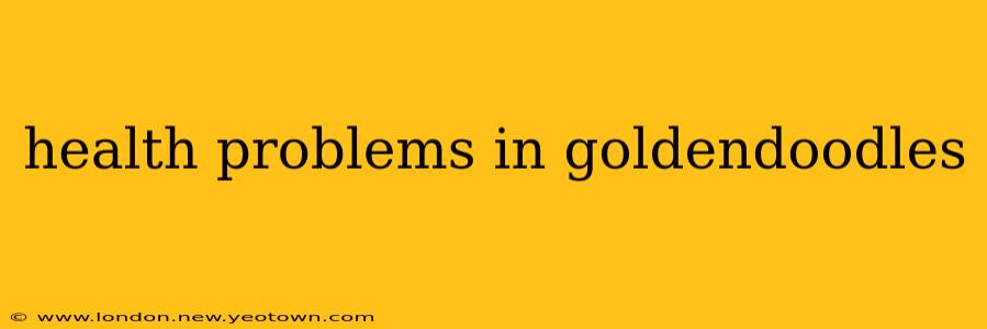 health problems in goldendoodles