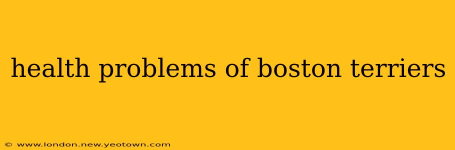 health problems of boston terriers