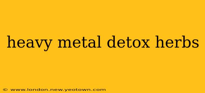 heavy metal detox herbs