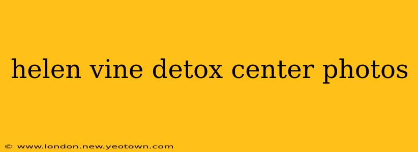 helen vine detox center photos