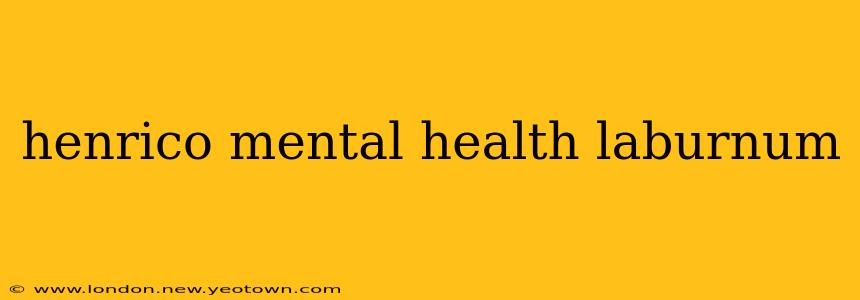 henrico mental health laburnum