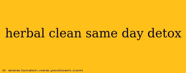 herbal clean same day detox