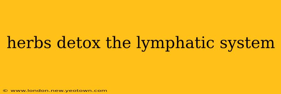herbs detox the lymphatic system