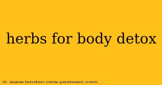 herbs for body detox