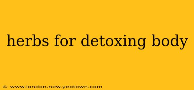 herbs for detoxing body