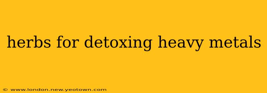 herbs for detoxing heavy metals