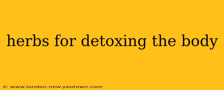 herbs for detoxing the body