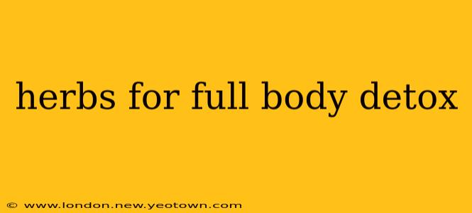 herbs for full body detox