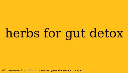 herbs for gut detox