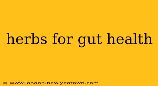 herbs for gut health