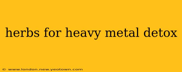 herbs for heavy metal detox