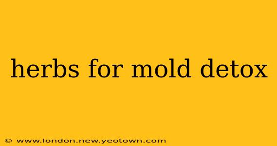 herbs for mold detox