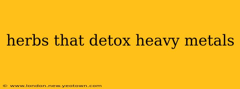 herbs that detox heavy metals
