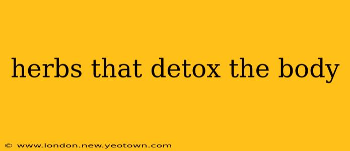 herbs that detox the body