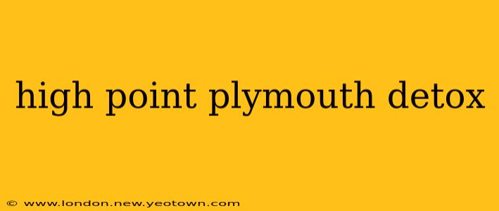 high point plymouth detox