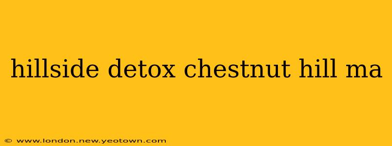 hillside detox chestnut hill ma