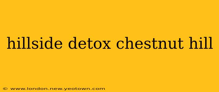hillside detox chestnut hill