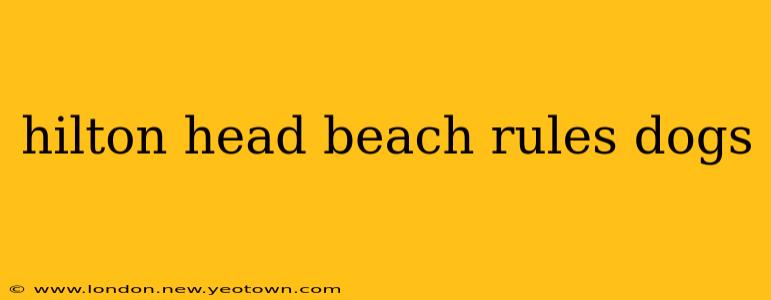 hilton head beach rules dogs