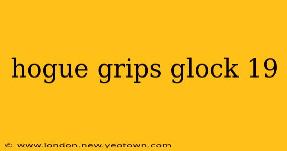 hogue grips glock 19