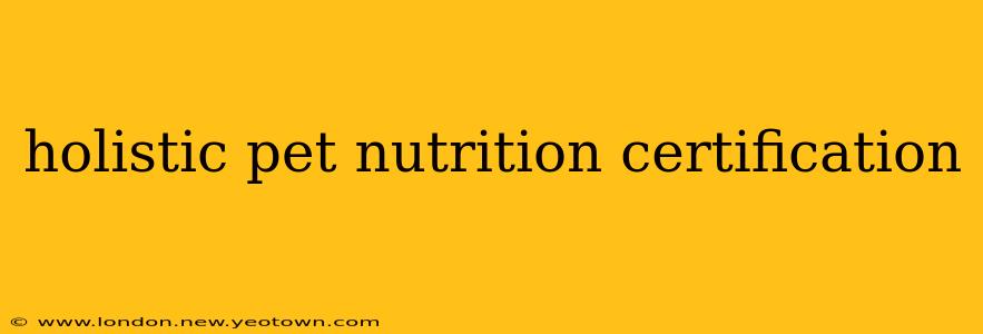 holistic pet nutrition certification