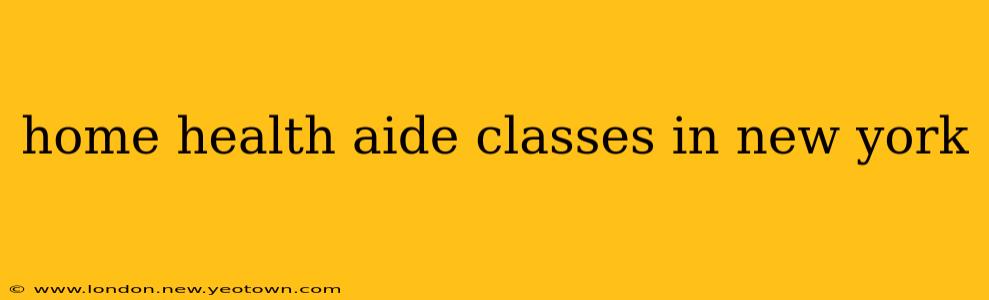 home health aide classes in new york