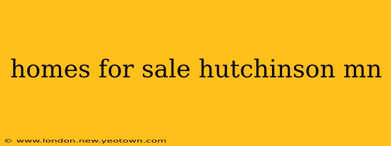 homes for sale hutchinson mn