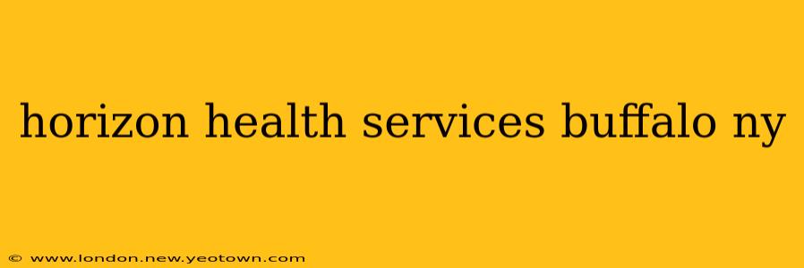 horizon health services buffalo ny