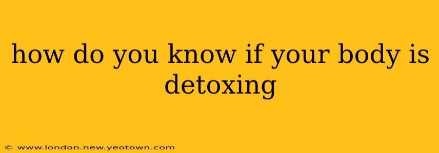 how do you know if your body is detoxing