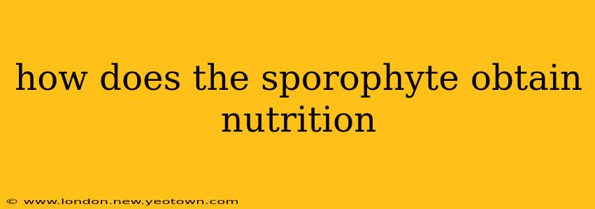 how does the sporophyte obtain nutrition