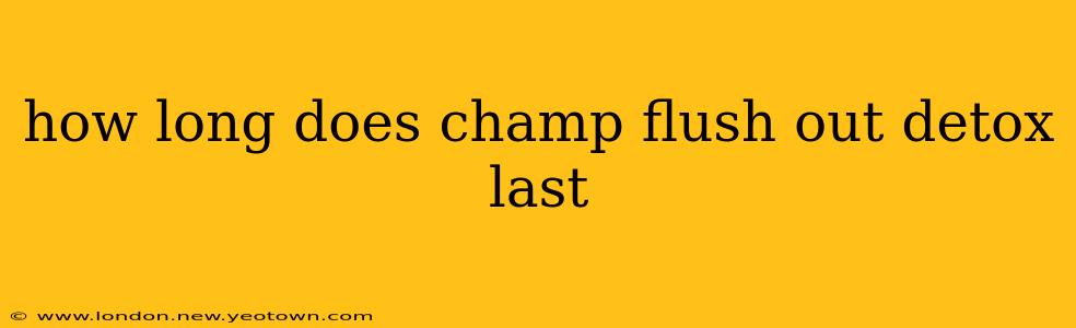 how long does champ flush out detox last