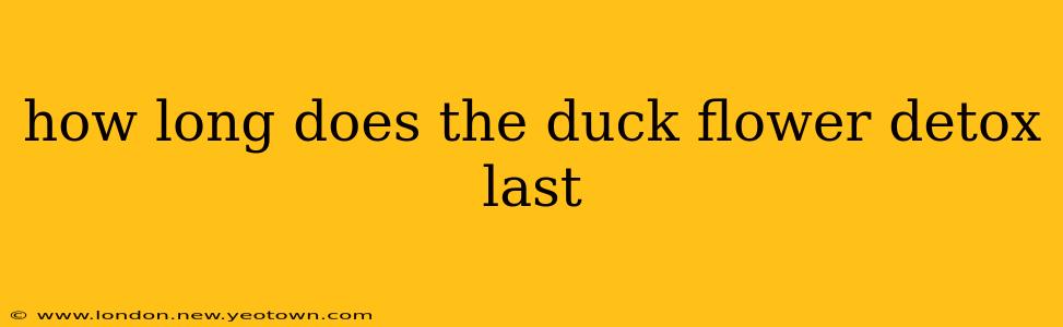 how long does the duck flower detox last