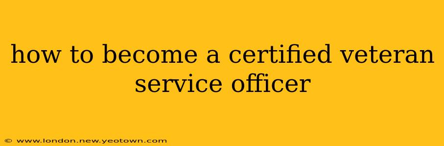 how to become a certified veteran service officer