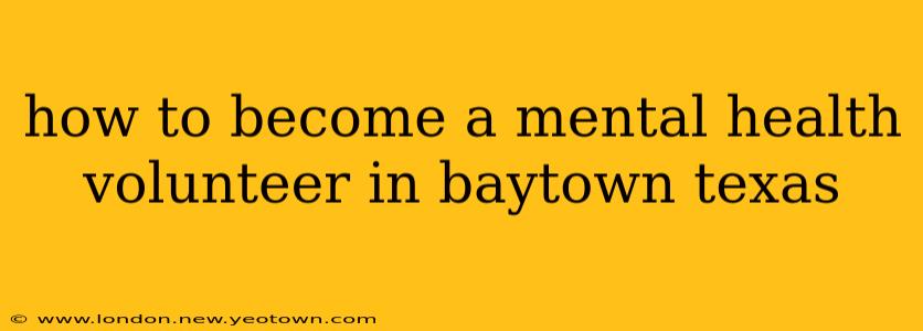 how to become a mental health volunteer in baytown texas