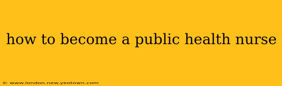how to become a public health nurse
