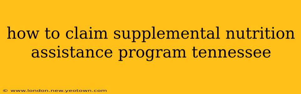 how to claim supplemental nutrition assistance program tennessee