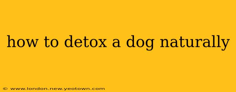 how to detox a dog naturally