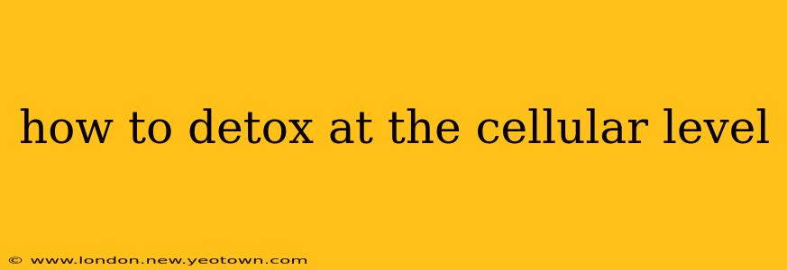 how to detox at the cellular level