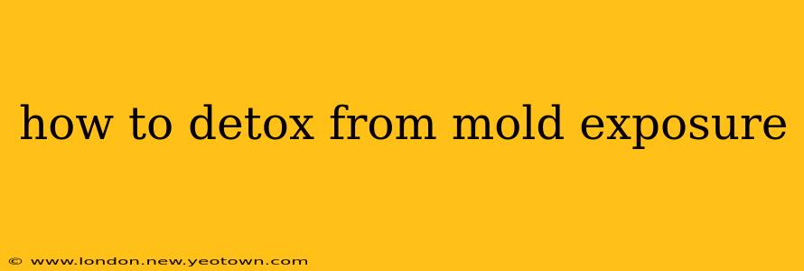 how to detox from mold exposure