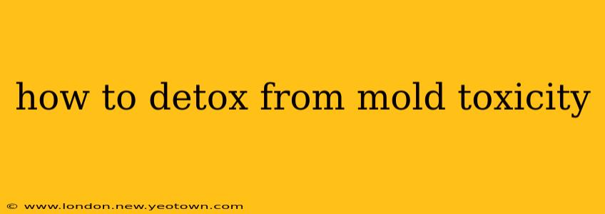 how to detox from mold toxicity