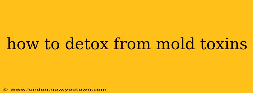 how to detox from mold toxins