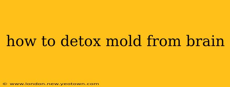 how to detox mold from brain