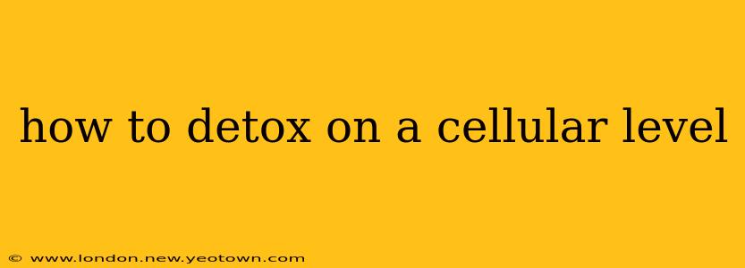 how to detox on a cellular level