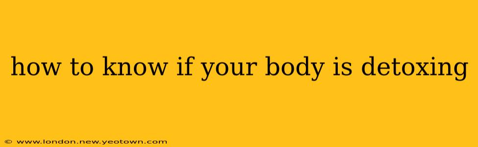 how to know if your body is detoxing